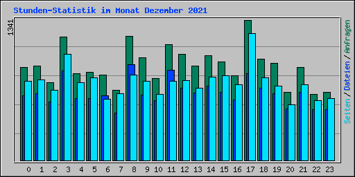 Stunden-Statistik im Monat Dezember 2021
