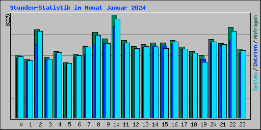 Stunden-Statistik im Monat Januar 2024