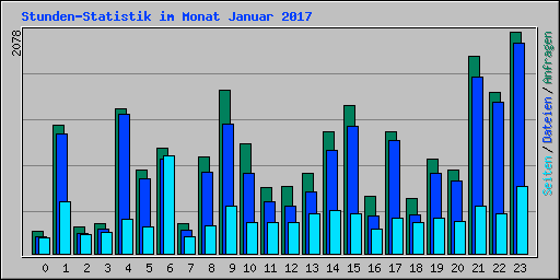 Stunden-Statistik im Monat Januar 2017