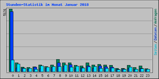 Stunden-Statistik im Monat Januar 2018