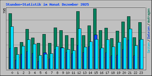 Stunden-Statistik im Monat Dezember 2025
